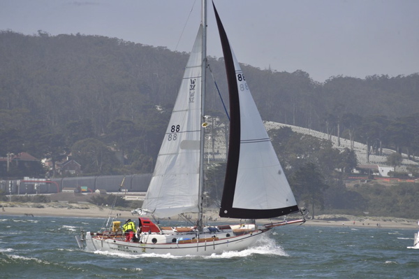 NCS_4195