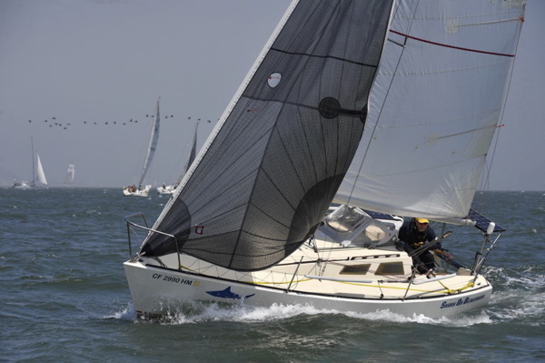 NCS_4225