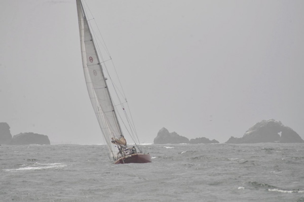 NCS_4477