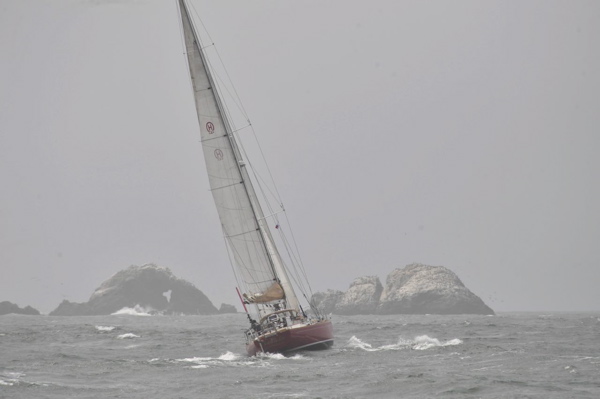 NCS_4482