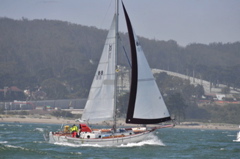 NCS_4195