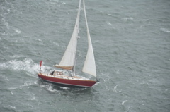 CAW_6231