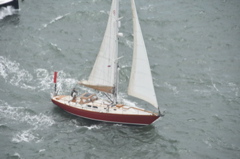 CAW_6242