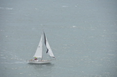 CAW_6254