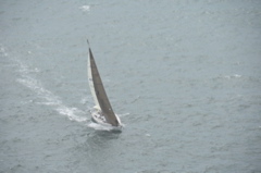 CAW_6099