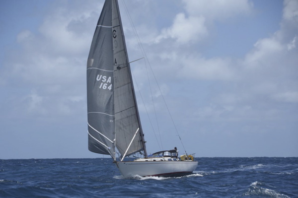 CAW_6429