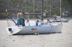 CAW_6573