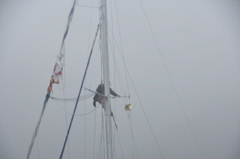 CAW_6837