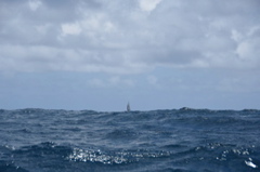CAW_6421