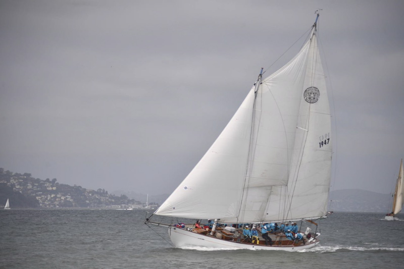 NCS_4810