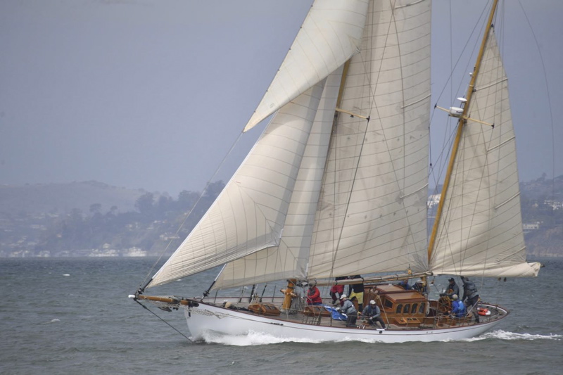 NCS_4819