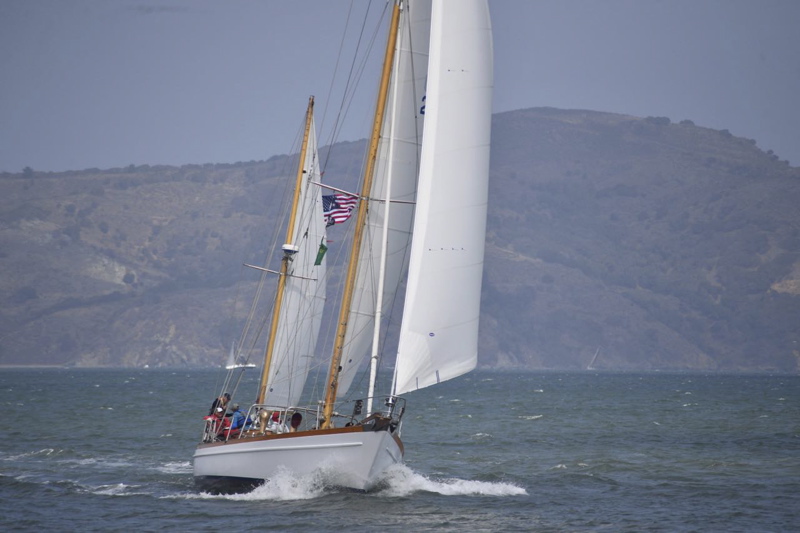 NCS_4854