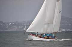 NCS_4805