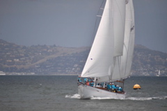 NCS_4824