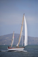 NCS_4856