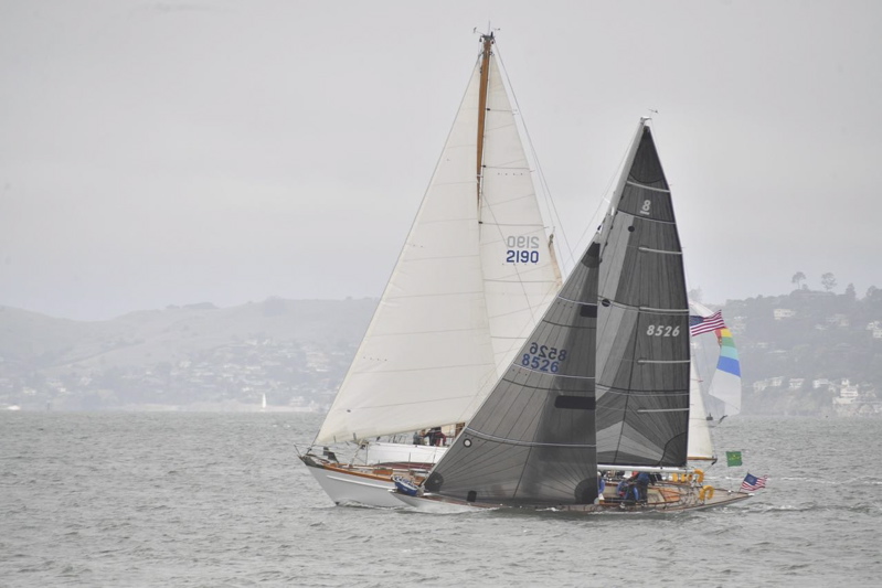 NCS_4536