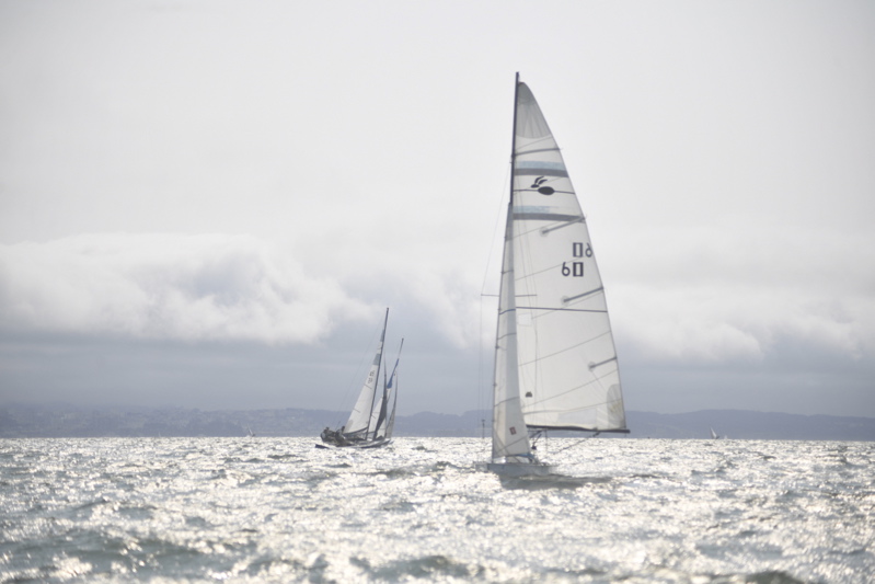 NCS_5916