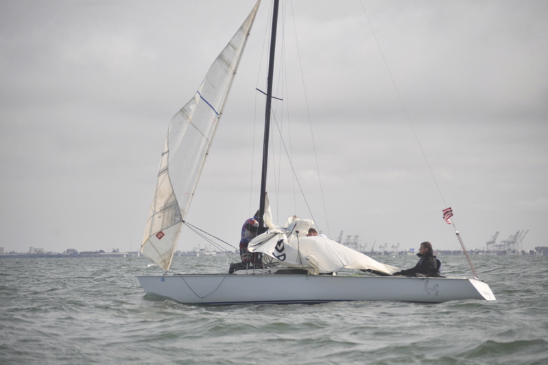 NCS_5919