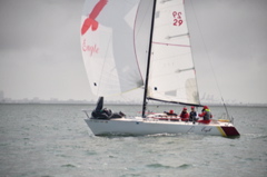 NCS_5646