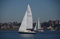 CAW_9653
