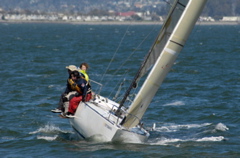 _NCS2843