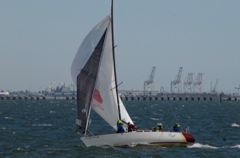 _NCS2995