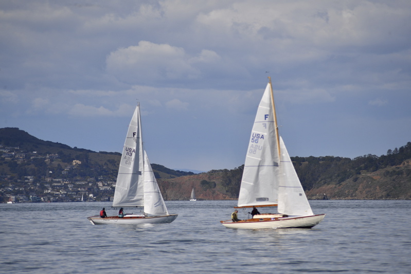 NCS_6585