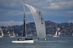 NCS_6646