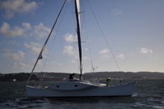 NCS_6880
