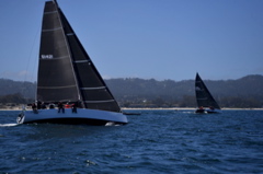 NCS_7131