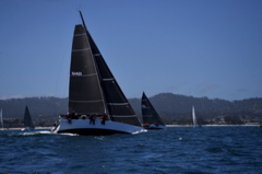 NCS_7134