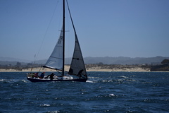 NCS_7170