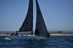 NCS_7173