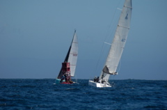 _NCS3486