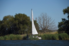 CAW_1843
