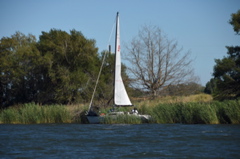 CAW_1844