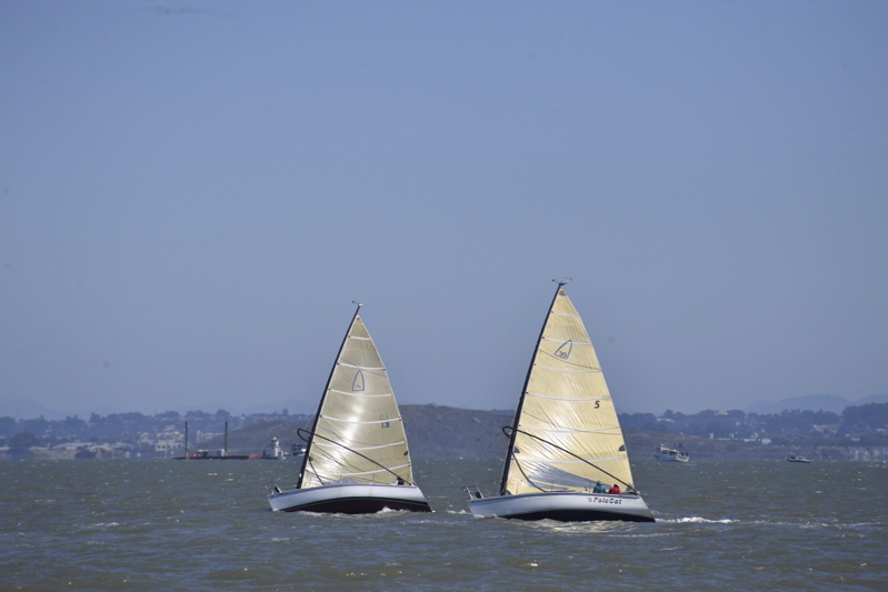 NCS_7236