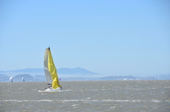 CAW_2262