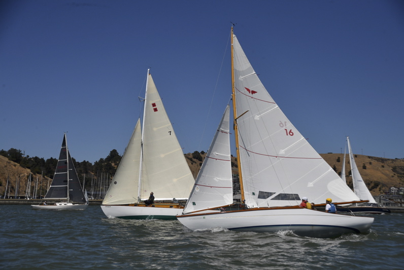 NCS_7462