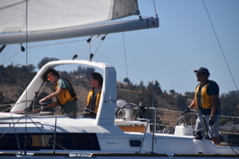 NCS_7724
