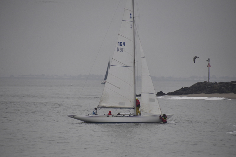 NCS_8629