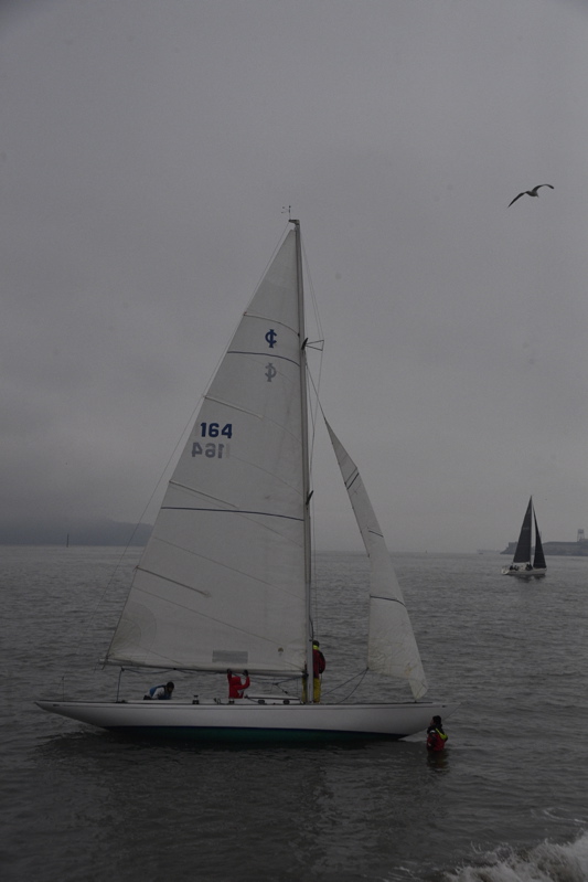 NCS_8641