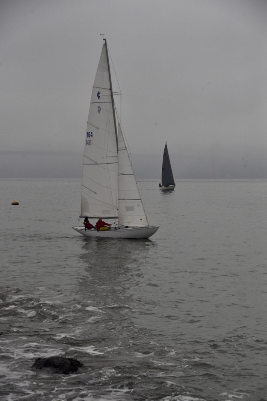 NCS_8596
