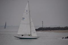 NCS_8628