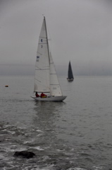 NCS_8596