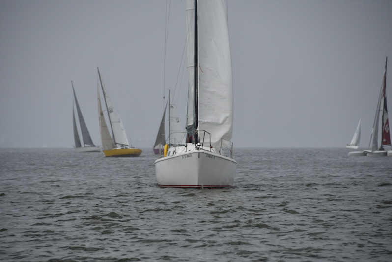 CAW_3799