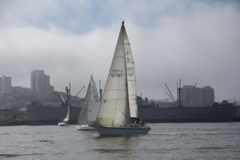 CAW_3782