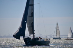 NCS_8802