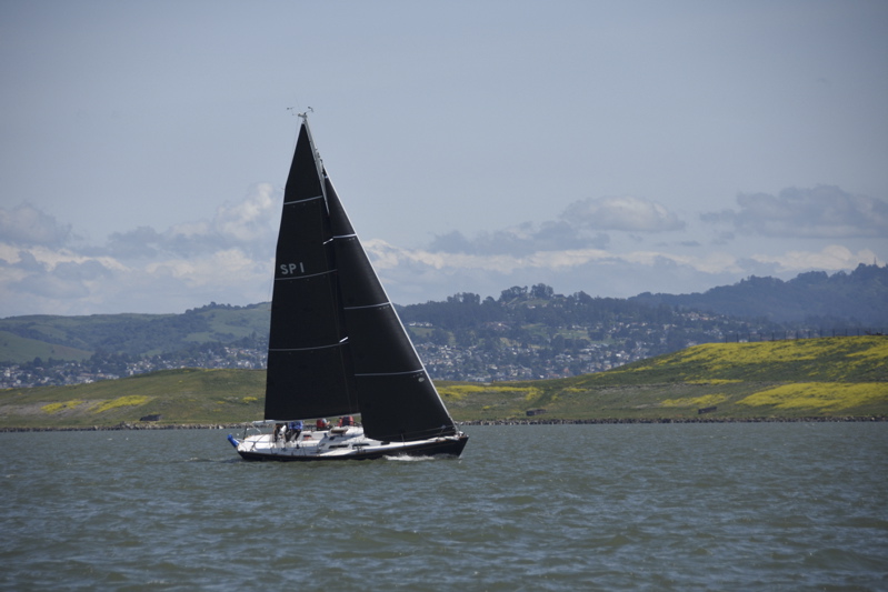 CAW_4249