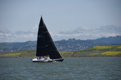 CAW_4249